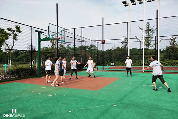 奋勇拼搏 逆势上扬——鼎萨木业营销中心团队建设展豪情10