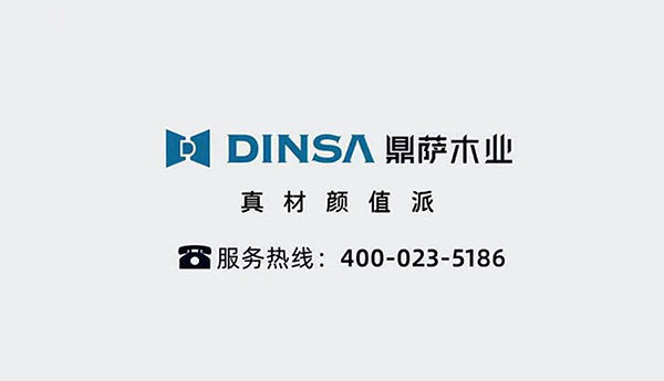 鼎萨木业登浙江卫视广告