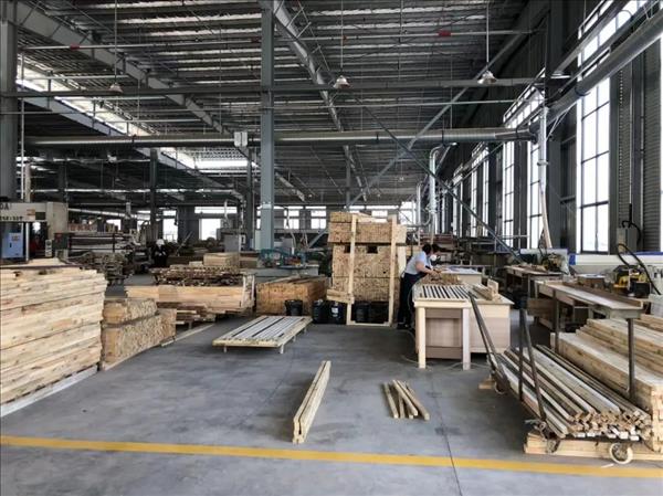 315品质盛典｜鼎萨——让时间，为品质发声！7